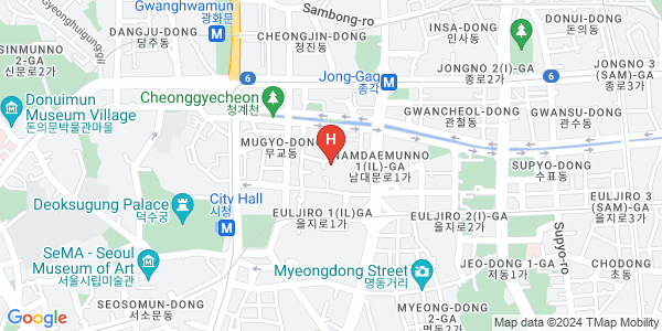 에이퍼스트호텔 명동Map View