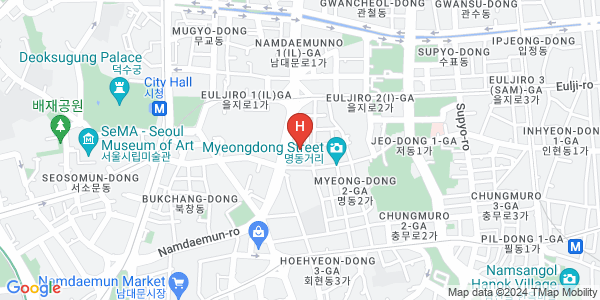 이비스 앰배서더 서울 명동Map View