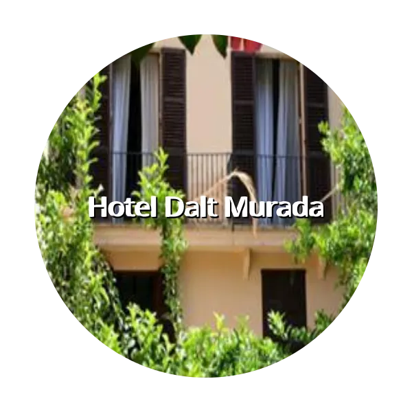 https://trip-love.com/aphotel/imgbox/Hotel_Dalt_Murada_circle.webpHotel Circle Image