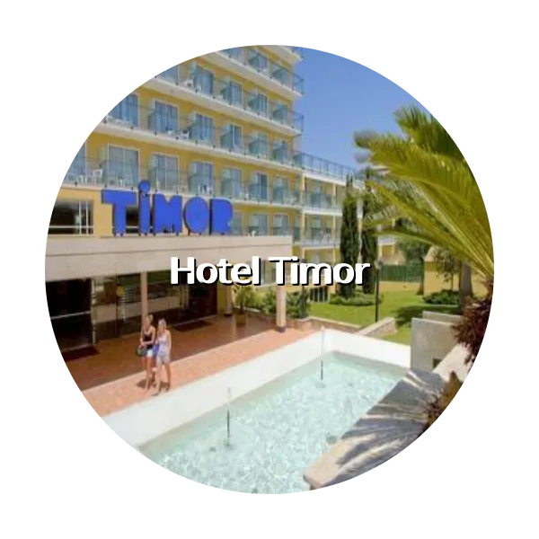 https://trip-love.com/aphotel/imgbox/Hotel_Timor_circle.webpHotel Circle Image