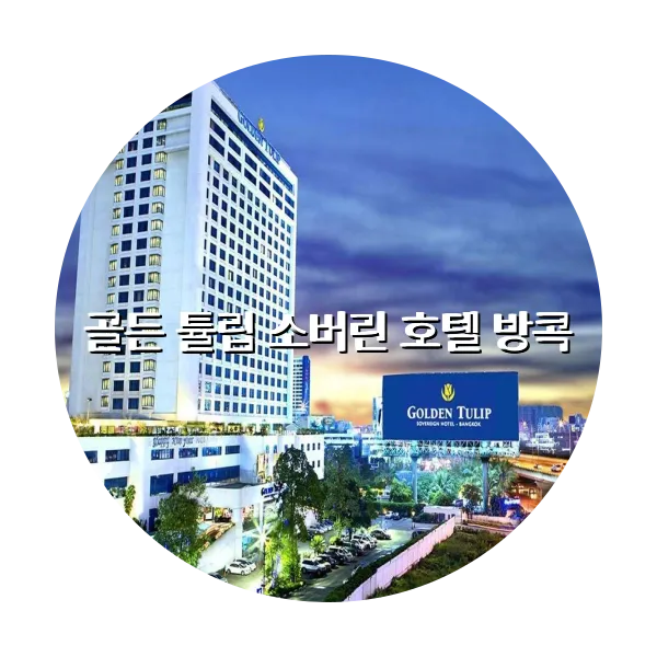 https://trip-love.com/aphotel/imgbox/골든_튤립_소버린_호텔_방콕_circle.webpHotel Circle Image