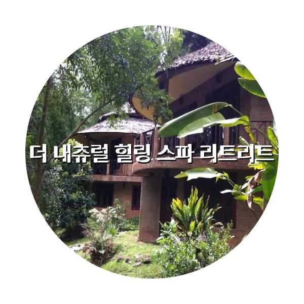 https://trip-love.com/aphotel/imgbox/더_내츄럴_힐링_스파_리트리트_circle.webpHotel Circle Image