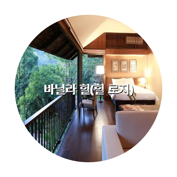 https://trip-love.com/aphotel/imgbox/바닐라_힐힐_로지_circle.webpHotel Circle Image