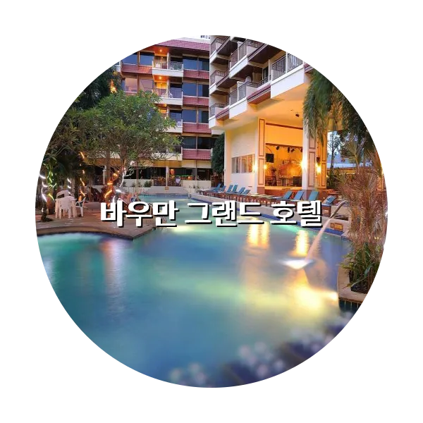 https://trip-love.com/aphotel/imgbox/바우만_그랜드_호텔_circle.webpHotel Circle Image