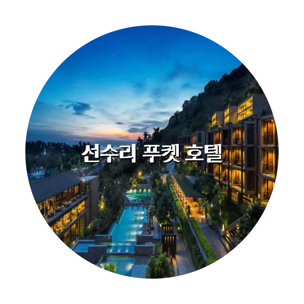 https://trip-love.com/aphotel/imgbox/선수리_푸켓_호텔_circle.webpHotel Circle Image