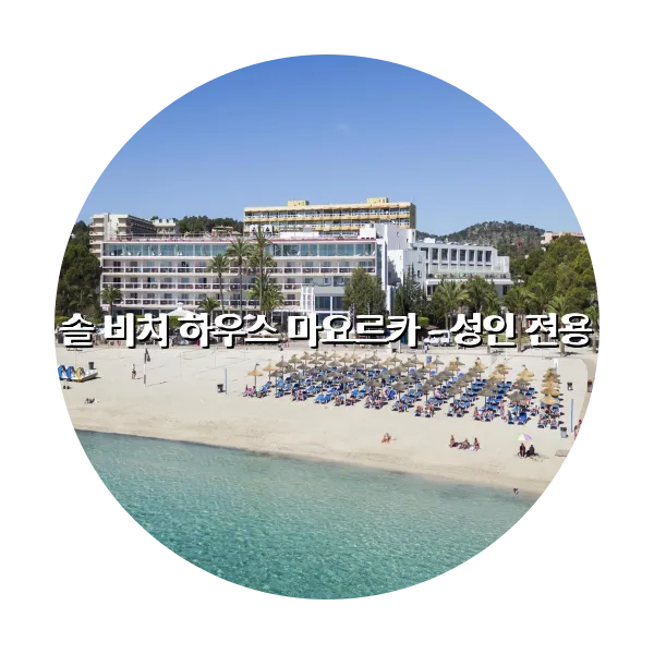 https://trip-love.com/aphotel/imgbox/솔_비치_하우스_마요르카_성인_전용_circle.webpHotel Circle Image