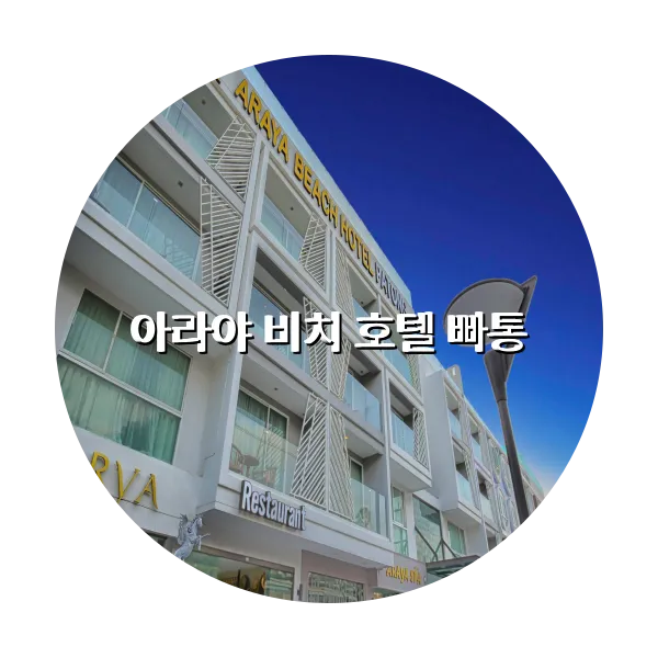 https://trip-love.com/aphotel/imgbox/아라야_비치_호텔_빠통_circle.webpHotel Circle Image