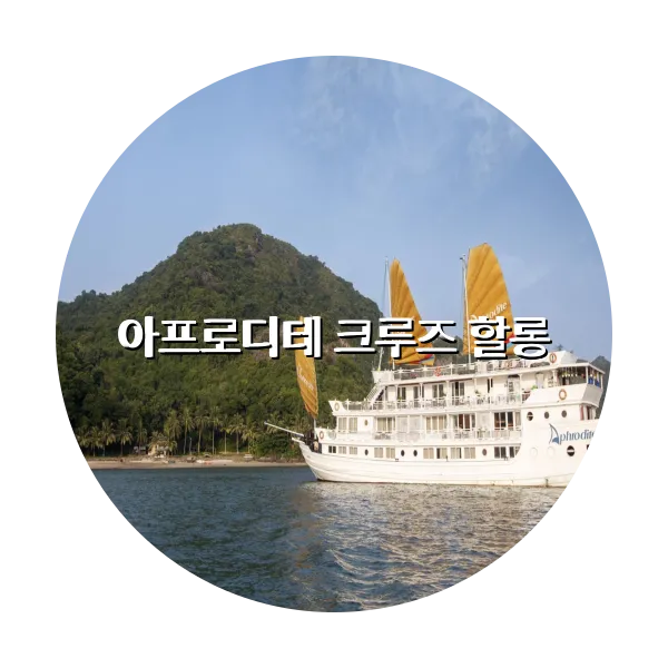 https://trip-love.com/aphotel/imgbox/아프로디테_크루즈_할롱_circle.webpHotel Circle Image