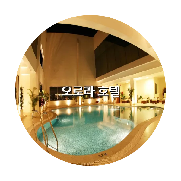 https://trip-love.com/aphotel/imgbox/오로라_호텔_circle.webpHotel Circle Image