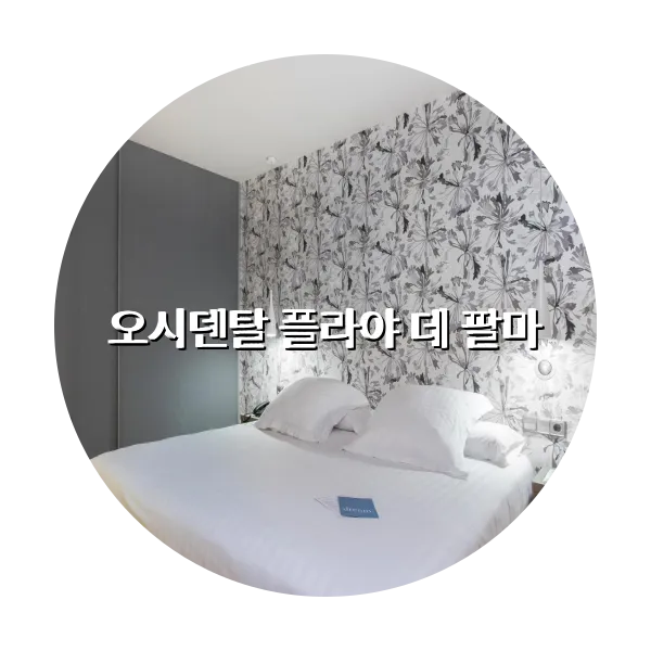 https://trip-love.com/aphotel/imgbox/오시덴탈_플라야_데_팔마_circle.webpHotel Circle Image