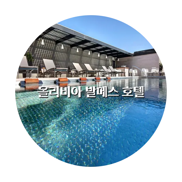 https://trip-love.com/aphotel/imgbox/올리비아_발메스_호텔_circle.webpHotel Circle Image