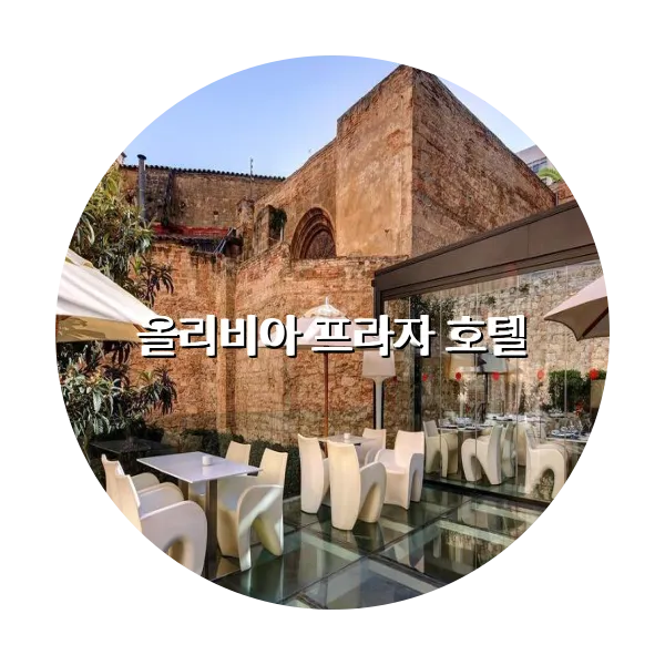 https://trip-love.com/aphotel/imgbox/올리비아_프라자_호텔_circle.webpHotel Circle Image