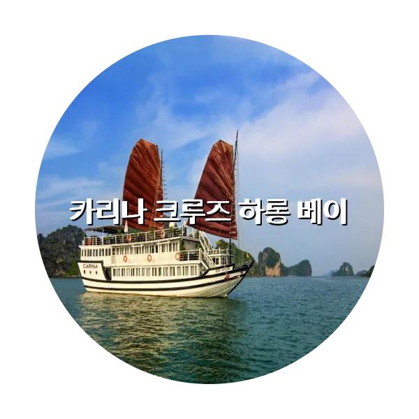 https://trip-love.com/aphotel/imgbox/카리나_크루즈_하롱_베이_circle.webpHotel Circle Image