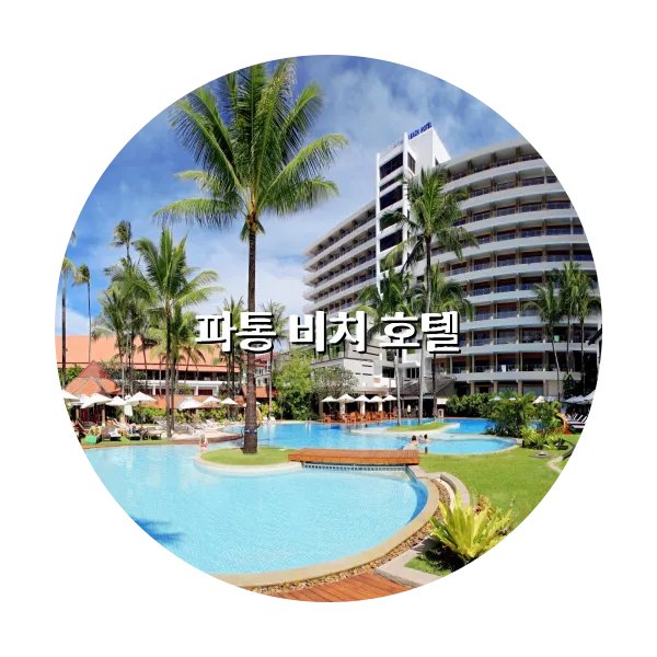 https://trip-love.com/aphotel/imgbox/파통_비치_호텔_circle.webpHotel Circle Image