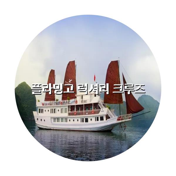 https://trip-love.com/aphotel/imgbox/플라밍고_럭셔리_크루즈_circle.webpHotel Circle Image