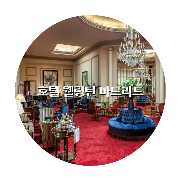 https://trip-love.com/aphotel/imgbox/호텔_웰링턴_마드리드_circle.webpHotel Circle Image